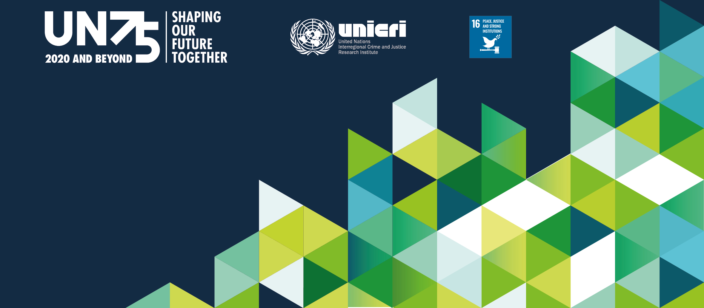 Virtual meeting UNICRI