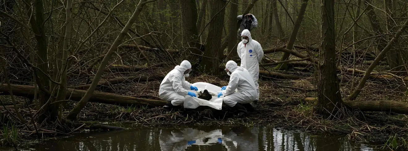 Exposing Environmental Crimes: Online Training for Journalists and Communication Professionals Section Banner