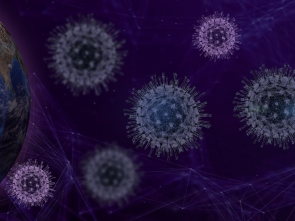 Foto di fernando zhiminaicela da Pixabay