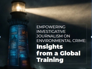 Strengthening Environmental Crime Journalism: Insights and Recommendations from a Global Training