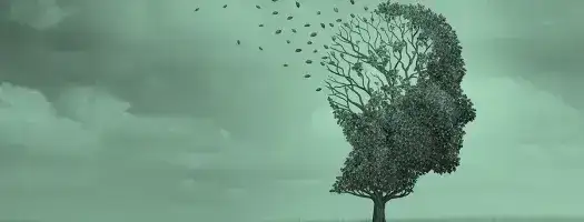 Handbook to combat CBRN disinformation