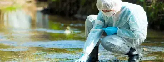 Winter Chool Environmental Crimes 2024