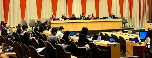 ECOSOC Welcomes the Contributions of UNICRI to the UN System in Crime Prevention and Criminal Justice